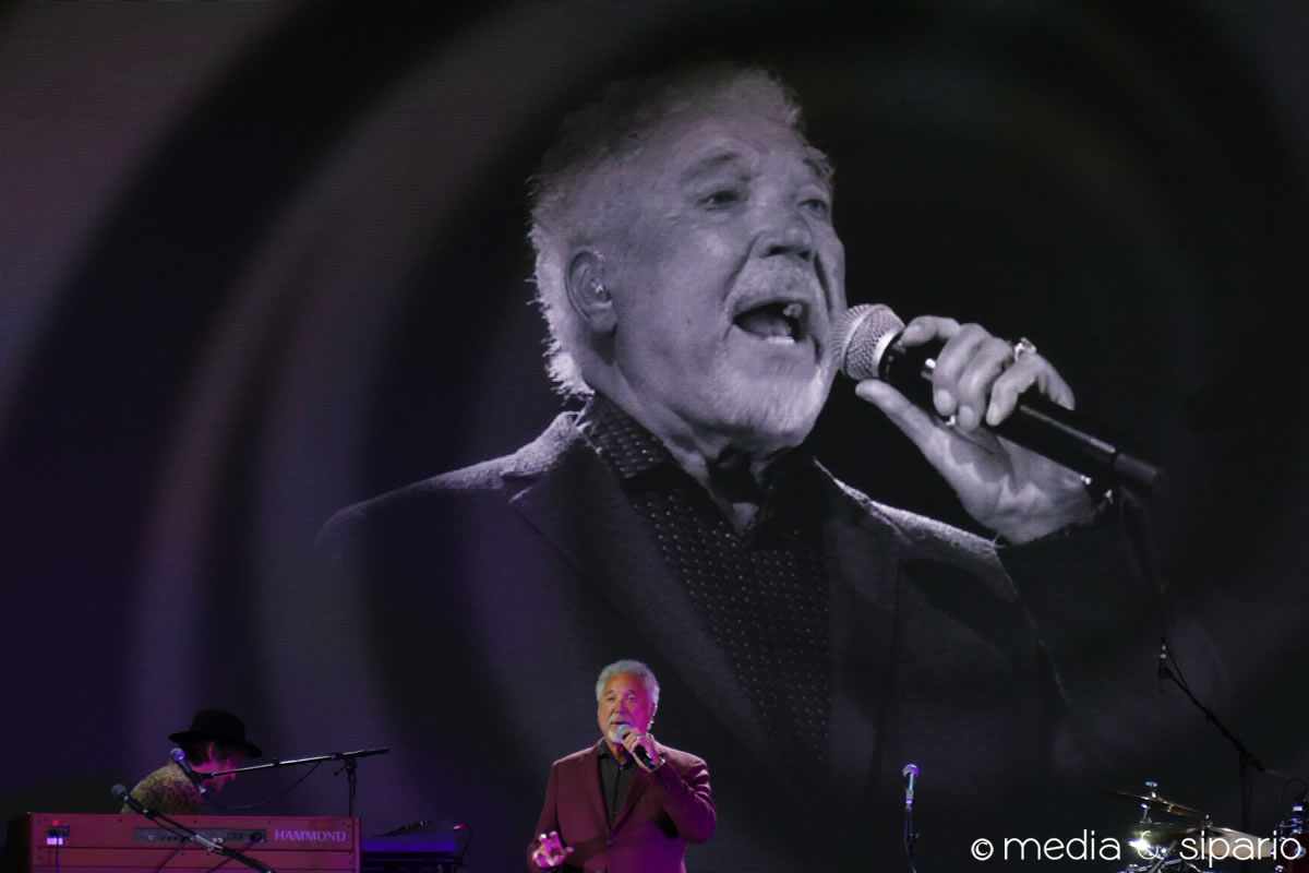 Tom Jones at Newmarket Racecourse (recensione)