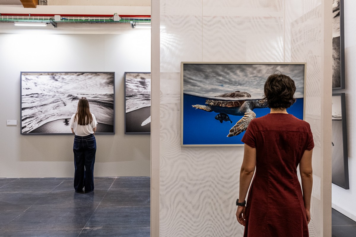 Cristina Mittermeier: La Grande Saggezza a Brescia